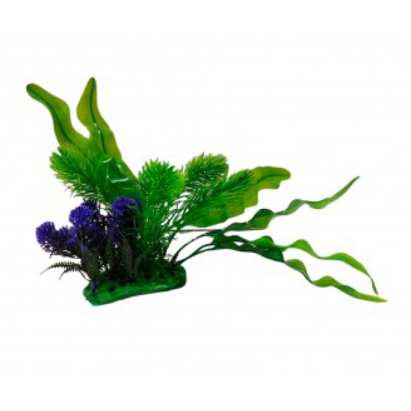 ΔΙΑΚΟΣΜΗΤΙΚΟ ΦΥΤΟ ΕΝΥΔΡΕΙΟΥ 10X24CM